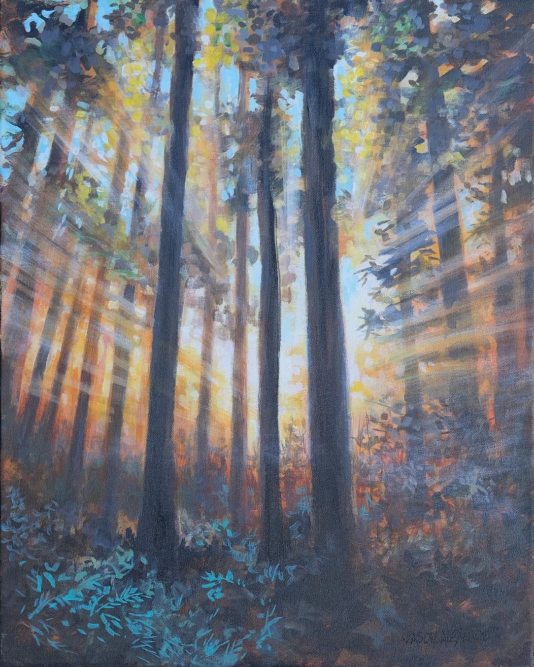 #20 - Good Morning Sunshine