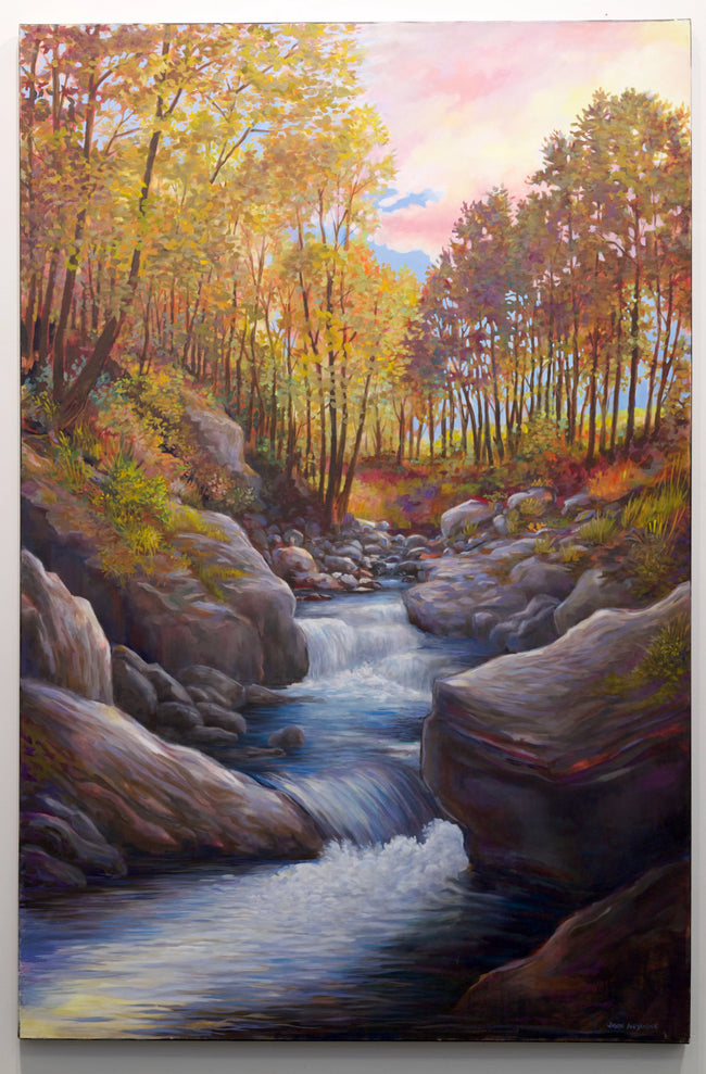 #41 - Little Mac Creek